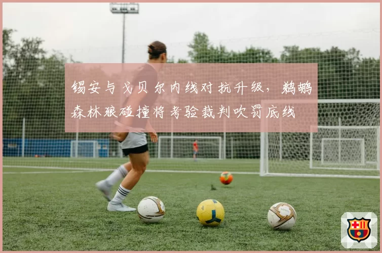 锡安与戈贝尔内线对抗升级，鹈鹕森林狼碰撞将考验裁判吹罚底线