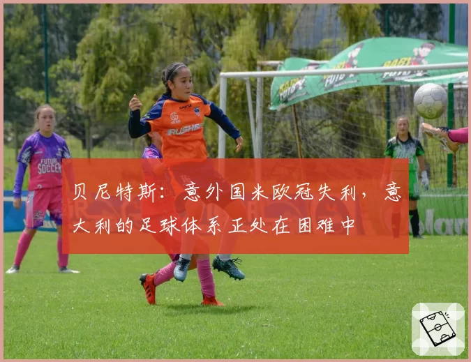 贝尼特斯：意外国米欧冠失利，意大利的足球体系正处在困难中